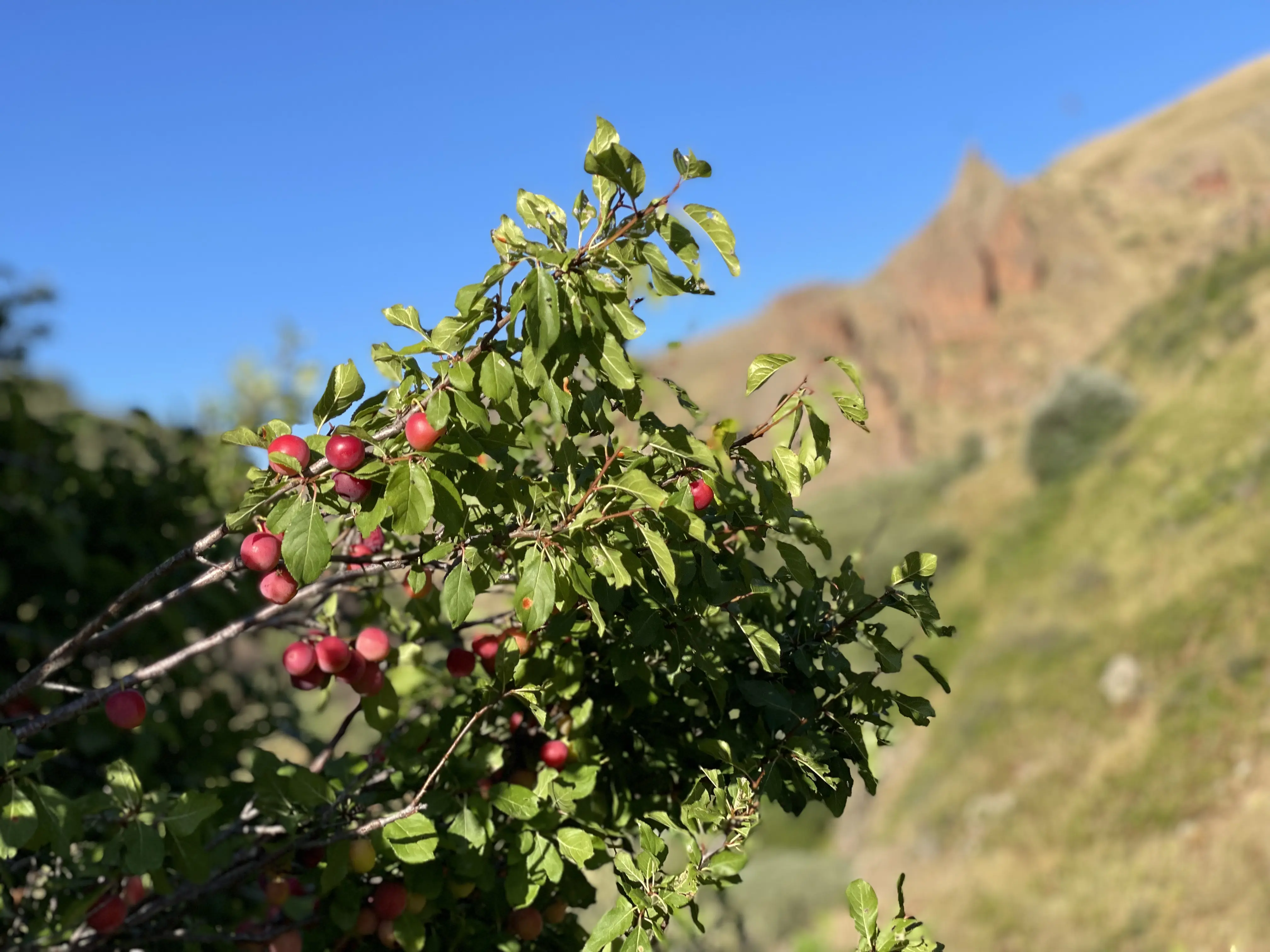 Gallery image IMG_5673.webp